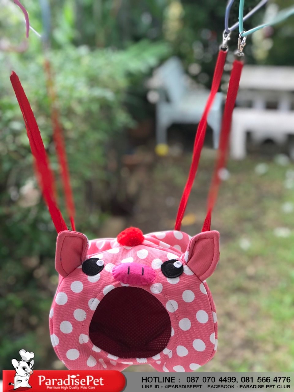 https://www.paradisepetclub.com/upload/2019/08/27___10_23_31___5d64a233af2e6.jpg