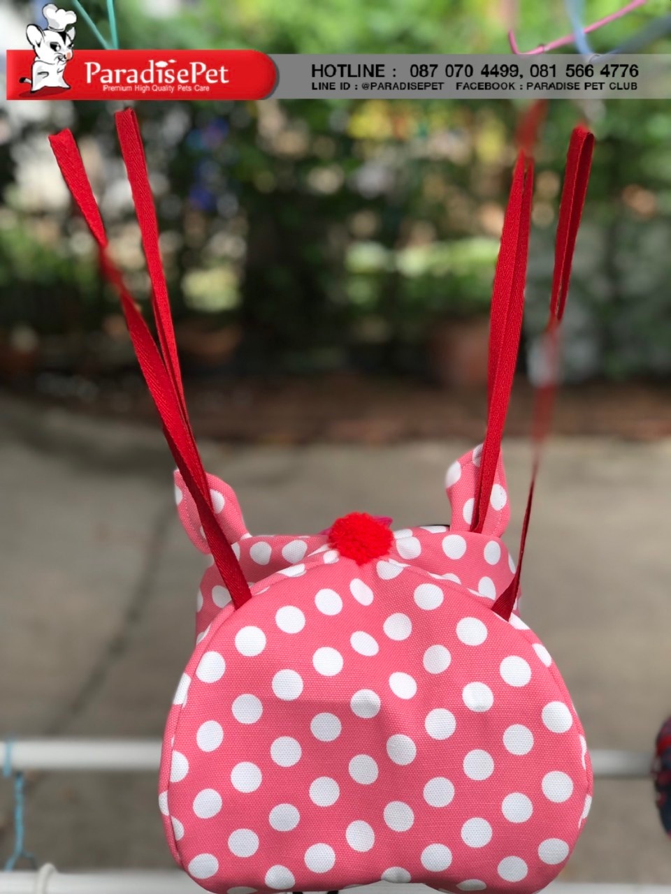 https://www.paradisepetclub.com/upload/2019/08/27___10_23_43___5d64a23fe156e.jpg