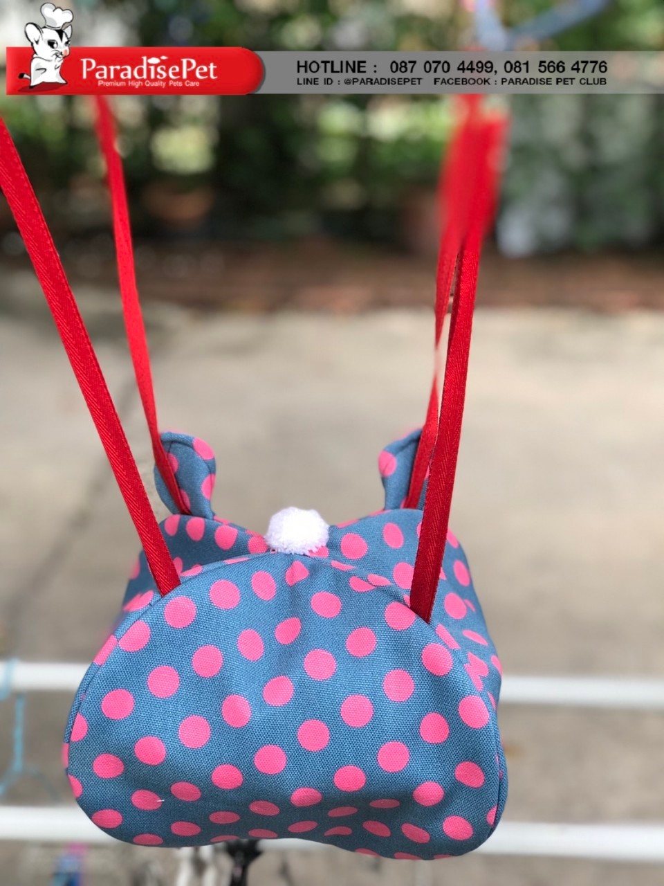https://www.paradisepetclub.com/upload/2019/08/27___23_00_18___5d655392beb38.jpg